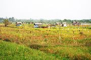 Foto: Cilts sievietes un saldūdens delfīnu meklējumi Borneo